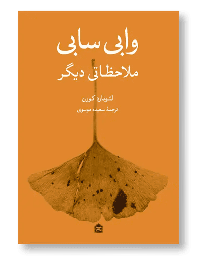 وابی‌سابی | ملاحظاتی دیگر